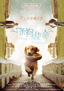 致命女性