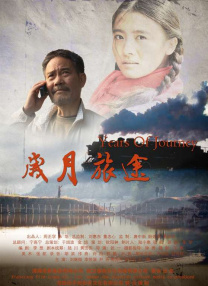 婷婷资源