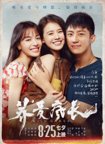 我妻子的母亲