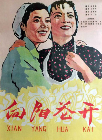 女人的妇人之见